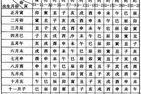 丙辰日主|八字干支解讀——丙辰：穩穩的幸福，被福氣眷顧的干。